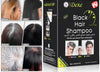 HAIRCOLOR REVITALIZER™ Pack 10 sobres shampoo orgánico ☘️